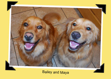 Bailey and Maya