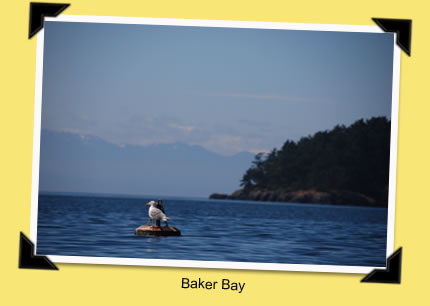 Baker Bay